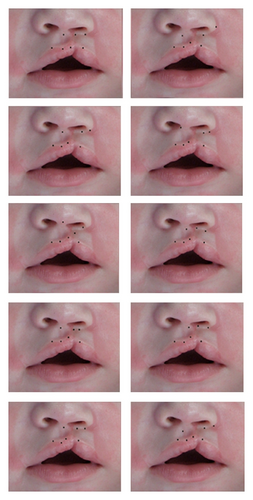 Details are in the caption following the image Details are in the caption following the image