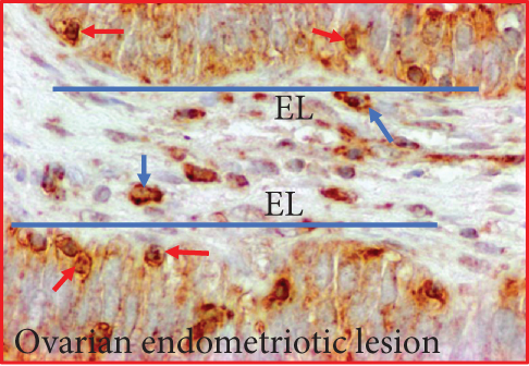 Details are in the caption following the image
