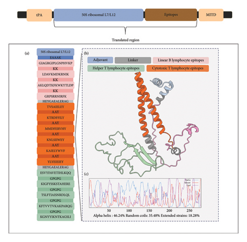 Details are in the caption following the image Details are in the caption following the image