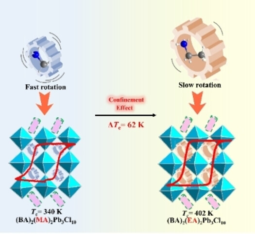 Unlocking Cage-Confined Cations Molecular Dynamics toward High-Tc Perovskite Ferroelectrics