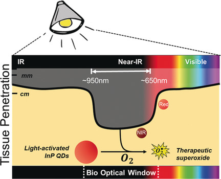 Near-Infrared-Light-Triggered Antimicrobial Indium Phosphide Quantum Dots