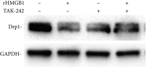 Details are in the caption following the image