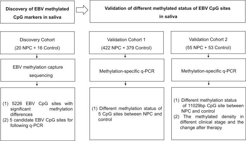 Saliva biopsy: Detecting the difference of EBV DNA methylation in the diagnosis of nasopharyngeal carcinoma