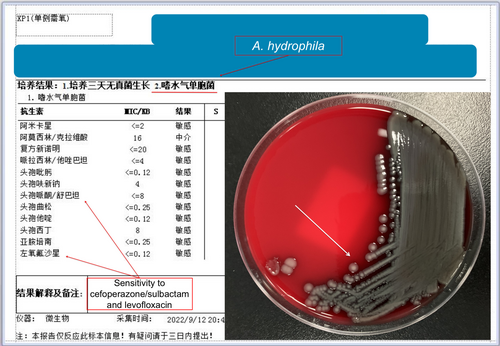 Details are in the caption following the image