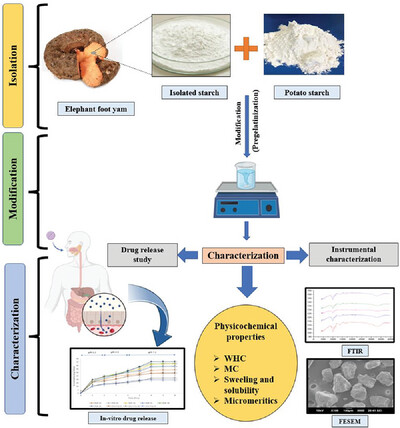 Effect of Soluble Potato Starch on the Pregelatinization Properties of Non-Conventional Elephant Foot Yam Starch