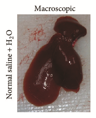 Details are in the caption following the image