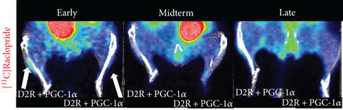 Details are in the caption following the image Details are in the caption following the image