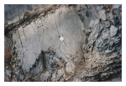 Details are in the caption following the image