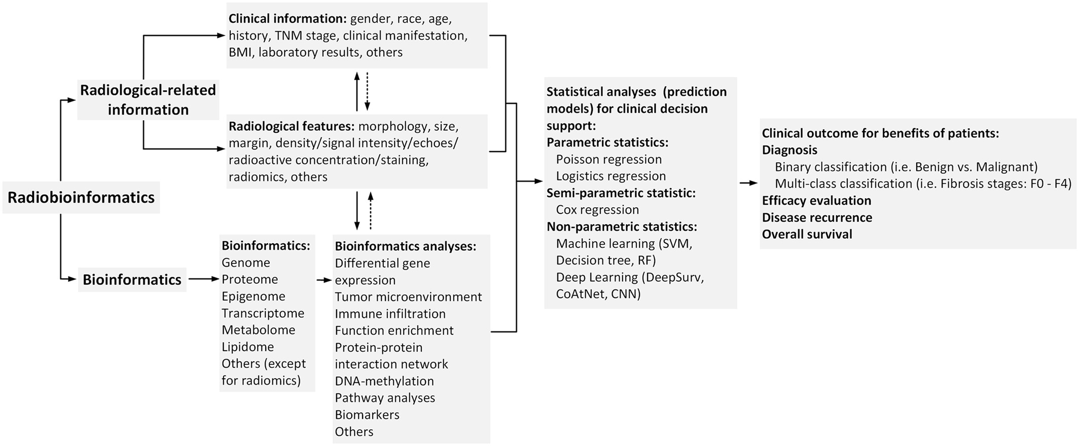 Radiobioinformatics: A novel bridge between basic research and clinical practice for clinical decision support in diffuse liver diseases