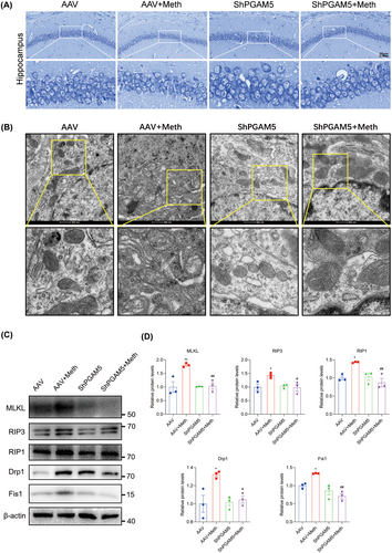 Details are in the caption following the image Details are in the caption following the image