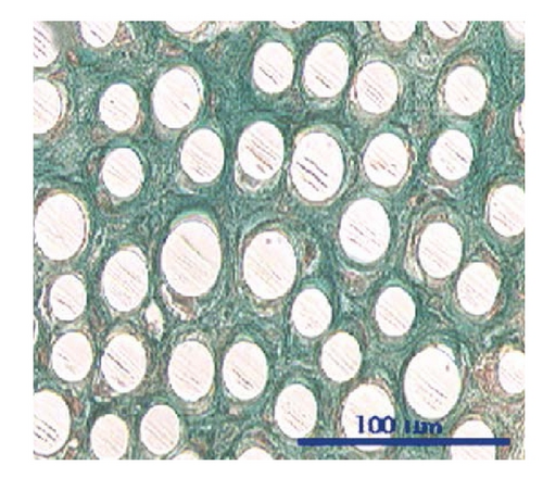 Details are in the caption following the image