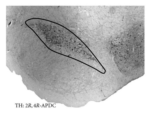 Details are in the caption following the image Details are in the caption following the image