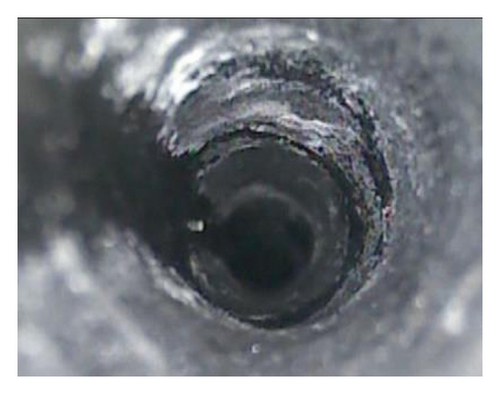 Details are in the caption following the image Details are in the caption following the image