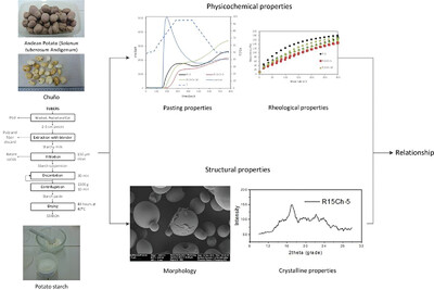 Characterization of the Starch Extracted from an Ancestral Andean Meal: Chuño