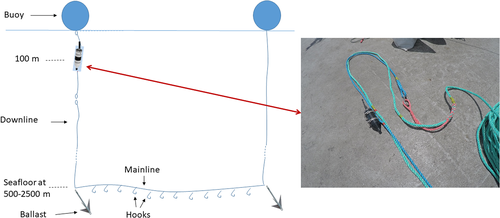 Details are in the caption following the image Details are in the caption following the image