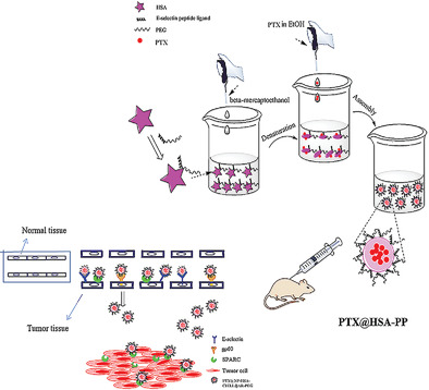 Peptide Modified Albumin–Paclitaxel Nanoparticles for Improving Chemotherapy and Preventing Metastasis