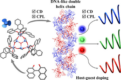 Chiral Tin-Oxo Cluster Matrices with Fluorophore Embedment for Multichromatic Circularly Polarized Luminescence