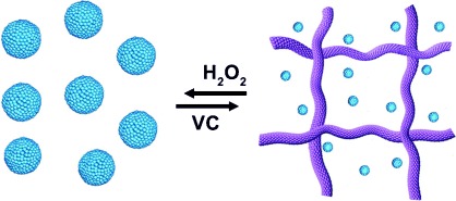 Switchable Catalytic Activity: Selenium-Containing Peptides with Redox-Controllable Self-Assembly Properties