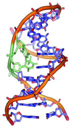 Details are in the caption following the image