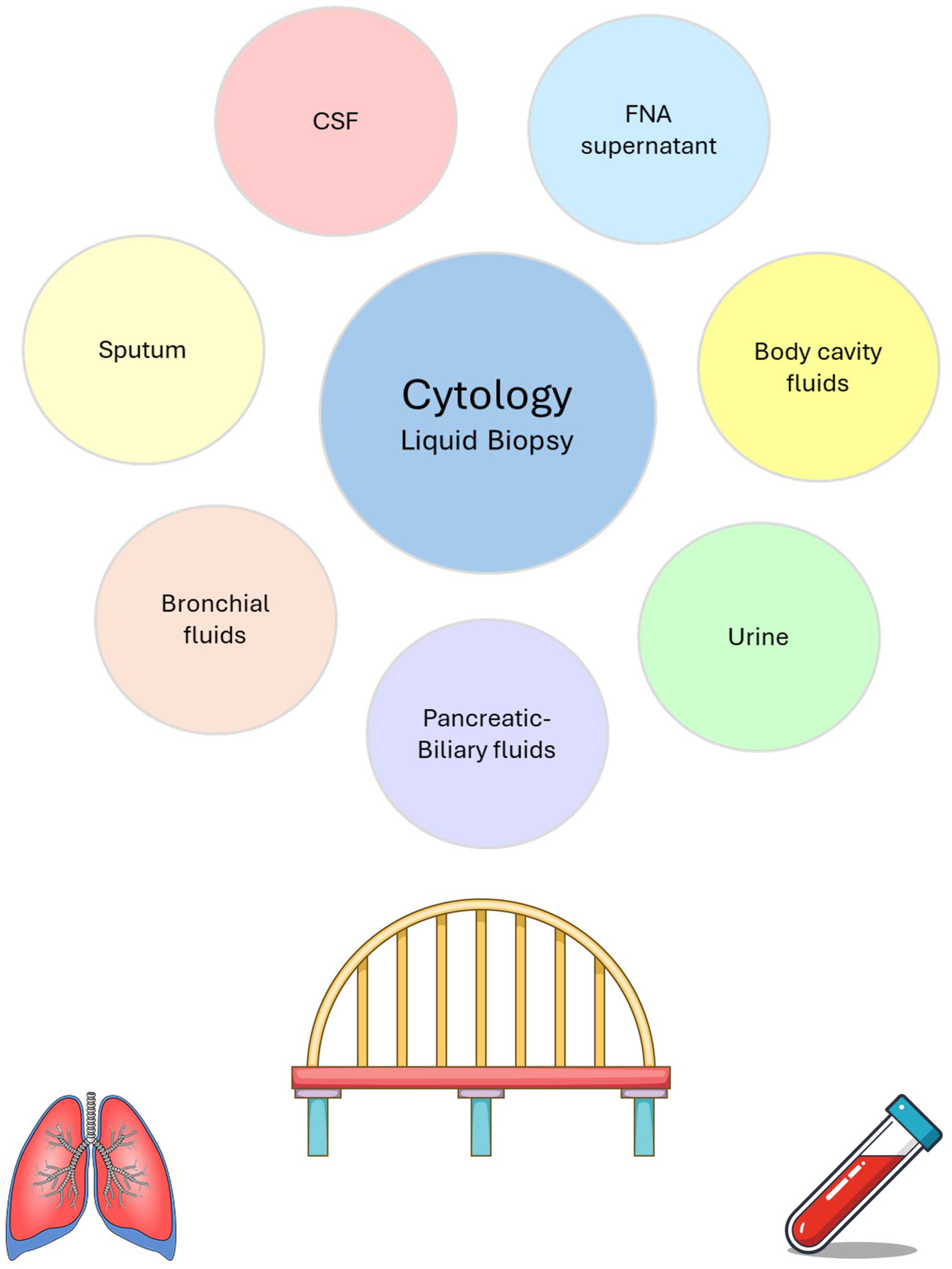 The Bridge: Supernatant Derived From Cytological Sample Preparations