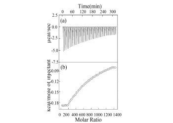 Adsorption Behavior of Metal Cations on Gold Nanoparticle Surfaces Studied by Isothermal Titration Microcalorimetry