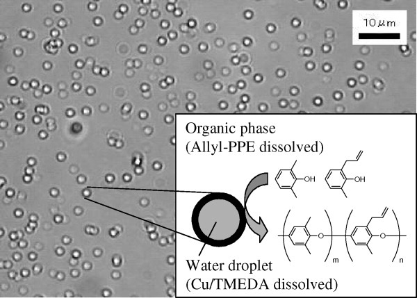 Efficient oxidative coupling polymerization for synthesis of thermosetting poly(phenylene ether) copolymer with a low dielectric loss