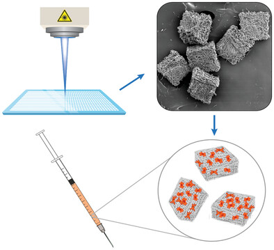 Laser-Assisted Fabrication of Injectable Nanofibrous Cell Carriers