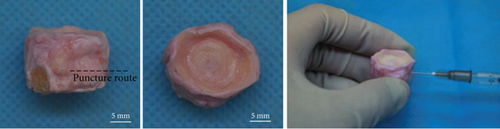 Details are in the caption following the image Details are in the caption following the image