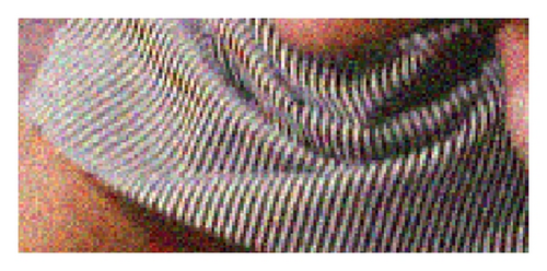 Details are in the caption following the image