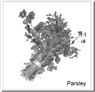 inline image