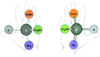 Serine Octamer Reactions: Indicators of Prebiotic Relevance