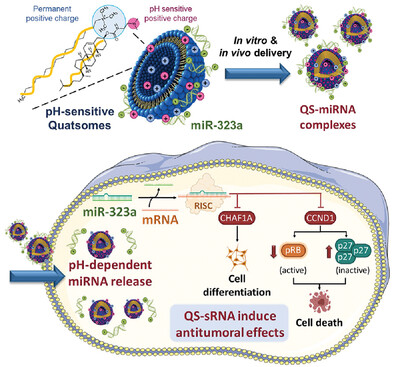 Engineering pH-Sensitive Stable Nanovesicles for Delivery of MicroRNA Therapeutics