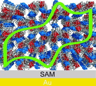 Microscale Crystals of Cytochrome c and Calixarene on Electrodes: Interprotein Electron Transfer between Defined Sites