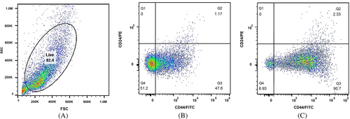 Details are in the caption following the image Details are in the caption following the image