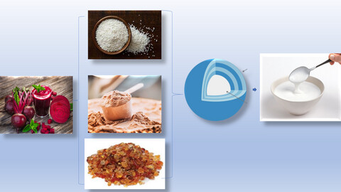 Yogurt fortification by microencapsulation of beetroot extract (Beta vulgaris L.) using maltodextrin, gum arabic, and whey protein isolate