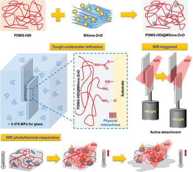 A Near-Infrared Photothermal-Responsive Underwater Adhesive with Tough Adhesion and Antibacterial Properties