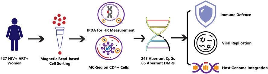 Aberrant DNA methylation of genes regulating CD4+ T cell HIV-1 reservoir in women with HIV