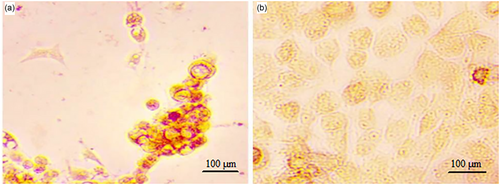 Details are in the caption following the image