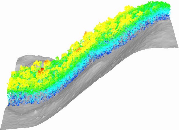 Estimating species richness and biomass of tropical dry forests using LIDAR during leaf-on and leaf-off canopy conditions