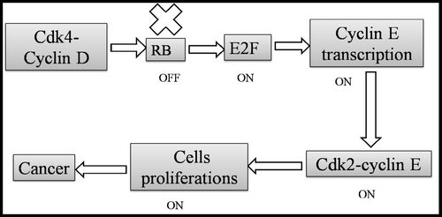 Details are in the caption following the image