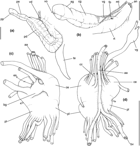 Details are in the caption following the image Details are in the caption following the image