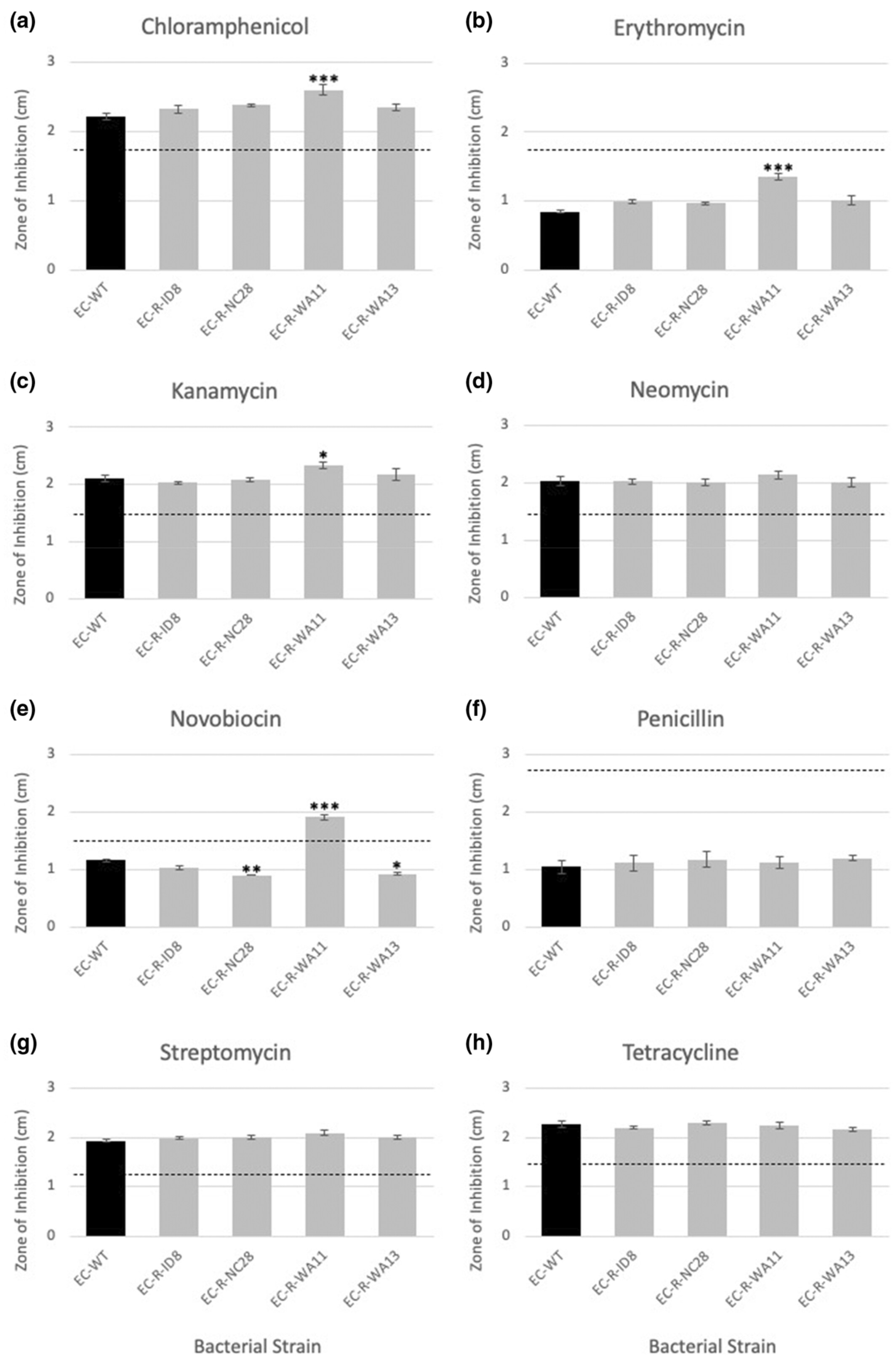 Phage-resistant mutations impact bacteria susceptibility to future phage infections and antibiotic response