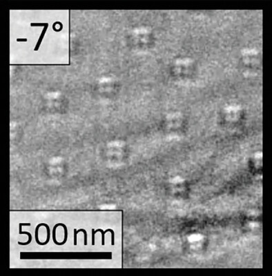 In-Situ Monitoring the Magnetotransport Signature of Topological Transitions in a Chiral Magnet