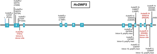 Details are in the caption following the image Details are in the caption following the image