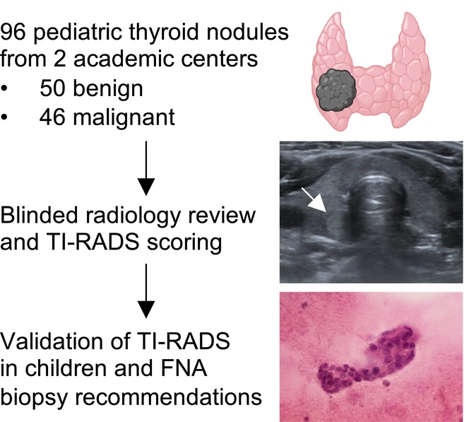 Evaluation and application of American College of Radiology Thyroid Imaging Reporting and Data System for improved malignancy detection in paediatric thyroid nodules