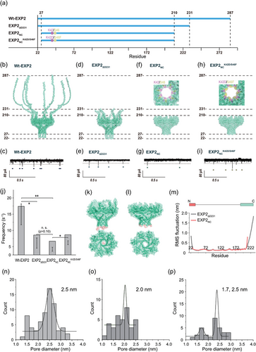 Details are in the caption following the image Details are in the caption following the image