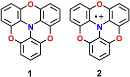 2,2′:6′,2′′:6′′,6-Trioxytriphenylamine: Synthesis and Properties of the Radical Cation and Neutral Species