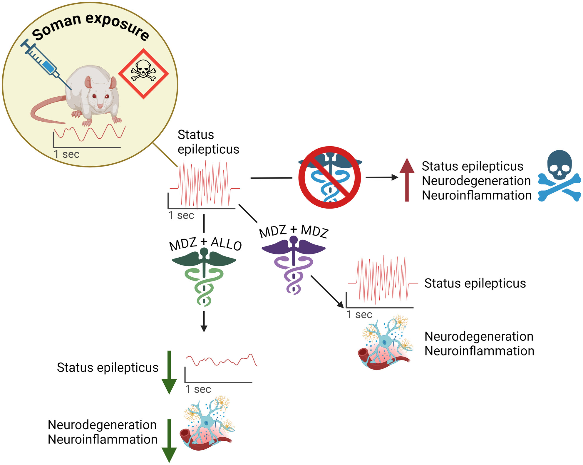 Allopregnanolone as an Adjunct Therapy to Midazolam is More Effective Than Midazolam Alone in Suppressing Soman-Induced Status Epilepticus in Male Rats
