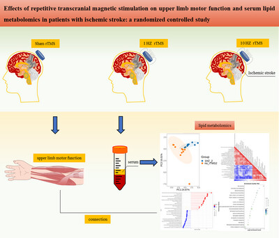 Effects of Repetitive Transcranial Magnetic Stimulation on Upper Limb Motor Function and Serum Lipid Metabolomics in Patients With Ischemic Stroke: A Randomized Controlled Study
