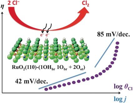 Full Kinetics from First Principles of the Chlorine Evolution Reaction over a RuO2(110) Model Electrode